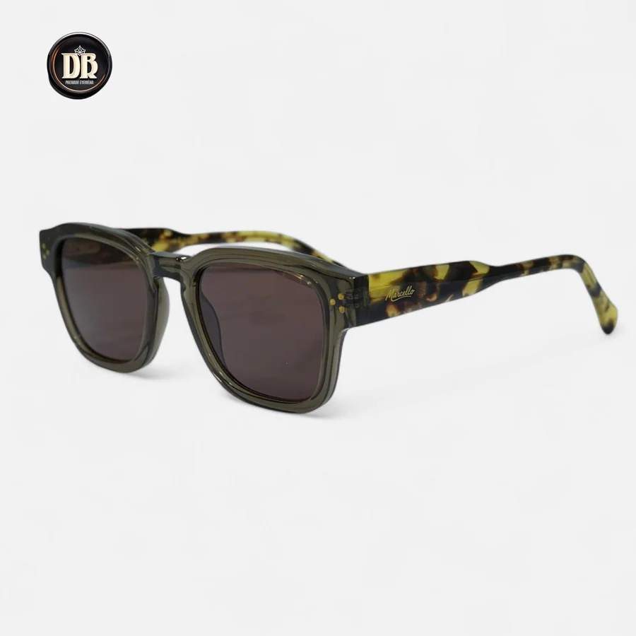 Olive Tortoise
