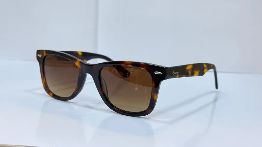 Wayfarer Havana